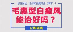 毛囊型白癜风能治好吗?