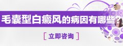 毛囊型白癜风发病原因有哪些呢?