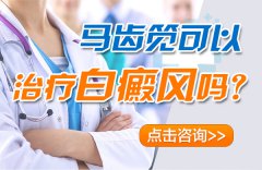 马齿笕真的可以治疗白癜风吗